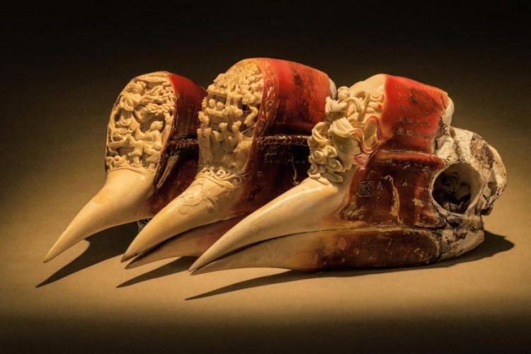 Nạn săn bắt trộm tại Đông Nam Á - 1