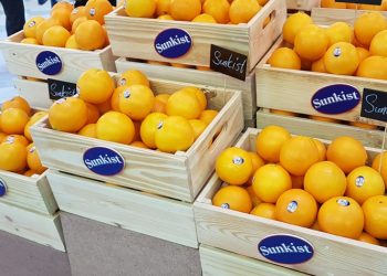 Thương hiệu Sunkist gia nhập thị trường Việt Nam với sản phẩm cam Navel đến từ California
