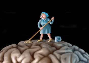 “Tẩy não” để đón xuân - 3