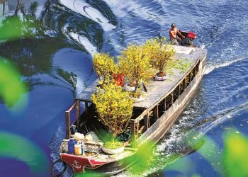 Sau đường hoa, sông hoa sẽ là lễ hội mùa xuân?