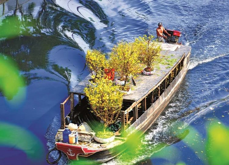 Điểm độc đáo của chợ hoa bến Bình Đông là chợ họp ngay bên sông, các sản vật được bày trên thuyền, trên bờ, người bán người mua nhộp nhịp từ ngày 23 tháng chạp hàng năm.