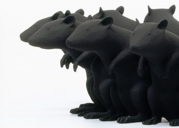 Ngắm những bức tranh chuột nổi tiếng trong lịch sử