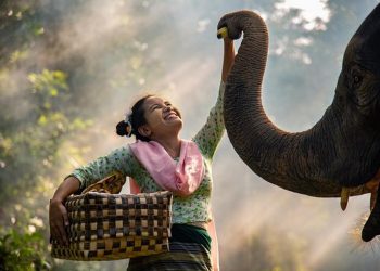 15 bức ảnh hạnh phúc nhất trong năm 2019 -8