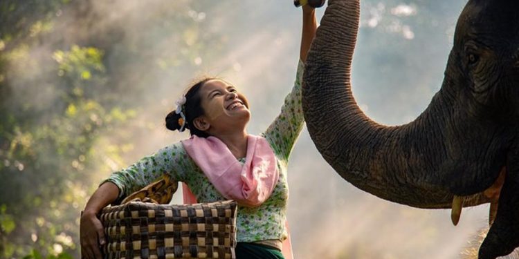 15 bức ảnh hạnh phúc nhất trong năm 2019 -8