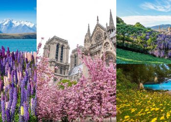 9 địa điểm đẹp nhất vào mùa xuân -10