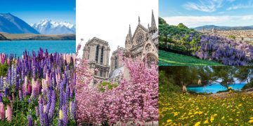 9 địa điểm đẹp nhất vào mùa xuân -10