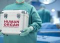 Đối đầu tội phạm buôn lậu nội tạng người tại các quốc gia bất ổn - 1