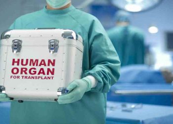 Đối đầu tội phạm buôn lậu nội tạng người tại các quốc gia bất ổn - 1