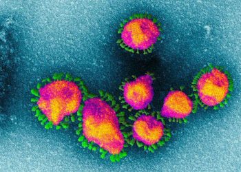 Các bác sĩ Hồ Bắc cảnh báo về việc tái nhiễm coronavirus thậm chí còn gây chết người. Ảnh: Zerohedge