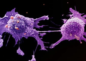 Hơn 200 loại ung thư và những bí ẩn phức tạp gây bệnh -1