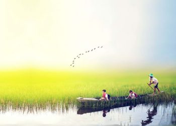 Thời gian giật mình