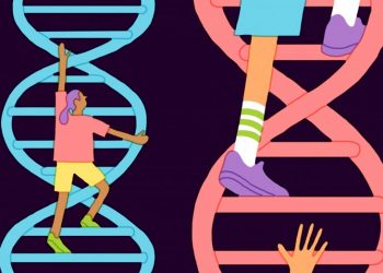 Những điều bất ngờ khi gien kiểm soát chúng ta -1