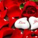 Những lời tỏ tình ngộ nghĩnh vòng quanh thế giới -1