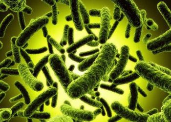 Những phát hiện ngỡ ngàng -1