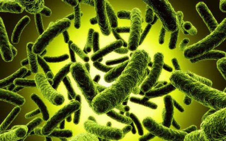 Những phát hiện ngỡ ngàng -1