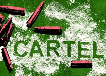 Nỗi sợ hãi khi làm việc cho một cartel ma tuý mexico -1