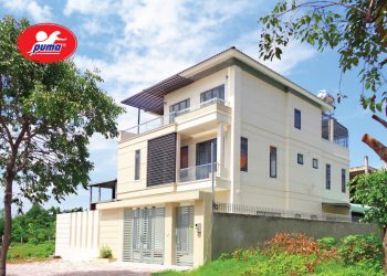 Sơn giả đá Puma – thêm lựa chọn cho không gian sống - 2