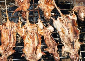 Thịt chuột và mầm bệnh -2