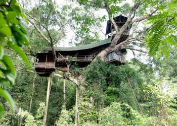Thú vị với nhà trên cây ở Lào -9