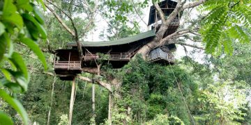 Thú vị với nhà trên cây ở Lào -9