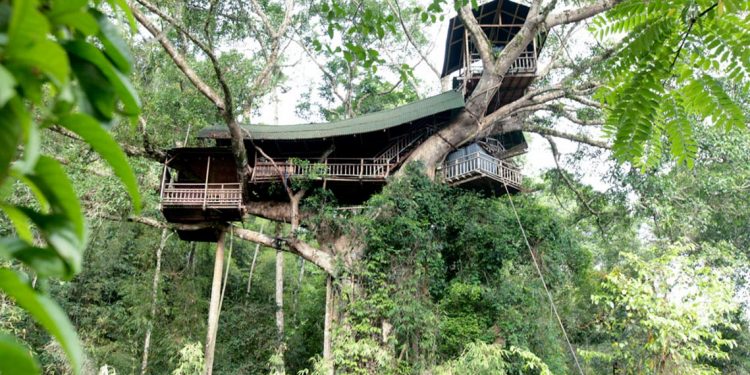 Thú vị với nhà trên cây ở Lào -9