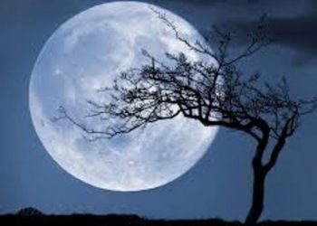 Trái đất sẽ ra sao nếu không có mặt trăng? -7