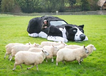 Ảnh vui: Xe hơi... chó chăn cừu! -3