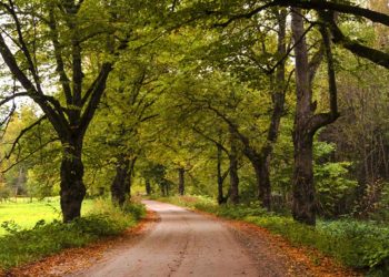 Những bí ẩn của thế giới: 12 bí ẩn của mọi thời đại -4