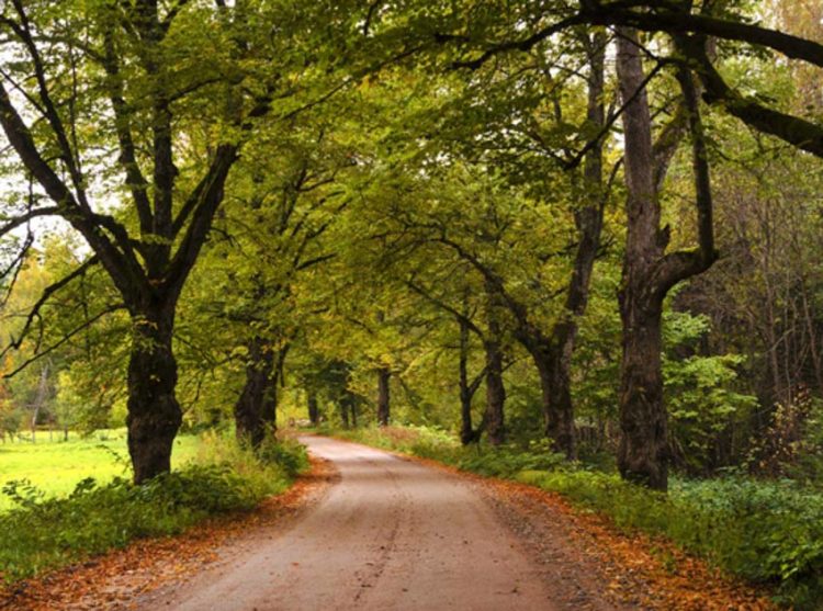 Những bí ẩn của thế giới: 12 bí ẩn của mọi thời đại -4