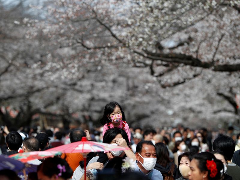 Nhật ra ngoài ngắm hoa anh đào bất chấp cảnh báo về coronavirus - 15