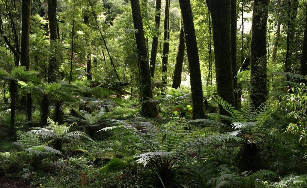 Bảy địa điểm không thể bỏ qua ở New Zealand nếu thích khám phá thiên nhiên - 04