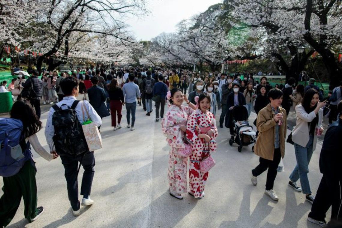 Bất chấp khuyến cáo, hàng ngàn người Nhật đổ xô đi ngắm hoa anh đào -4