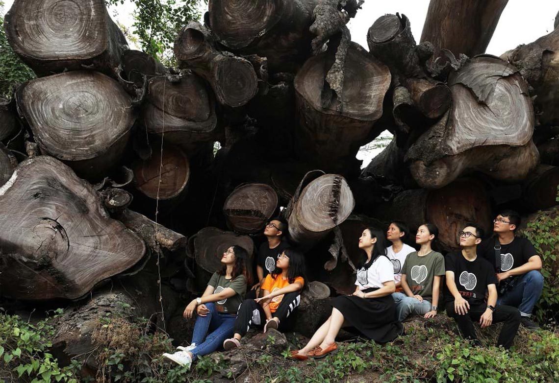 Đêm 30 trổ mầm Tâm Xanh -1