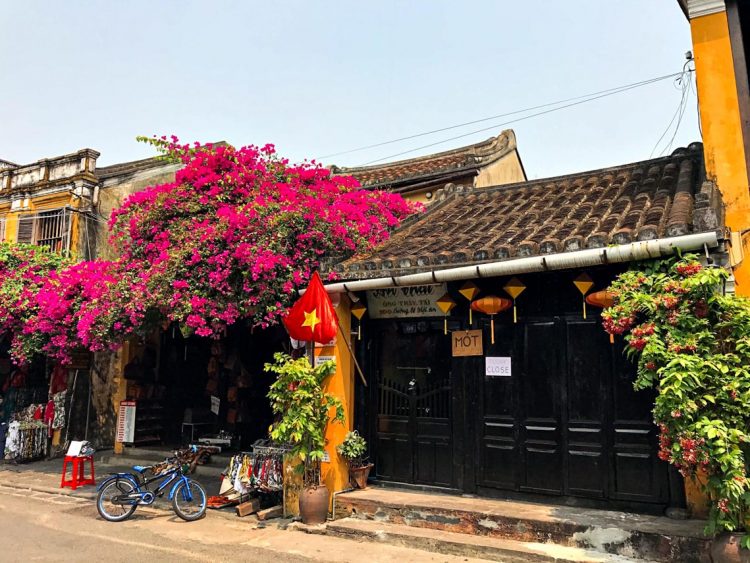 Hoa giấy nở rực rỡ Hội An trong 'những ngày corona' -1