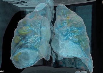 Virus sẽ thâm nhập lá phổi người nhiễm COVID-19 như thế nào?