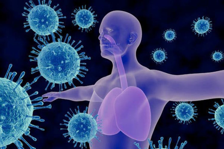 Khả năng đối phó với nhiễm nấm và vi rút của hệ miễn dịch - 1