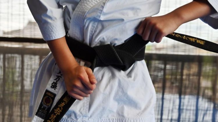 Những diễn viên võ thuật chưa bao giờ có đai đen -2