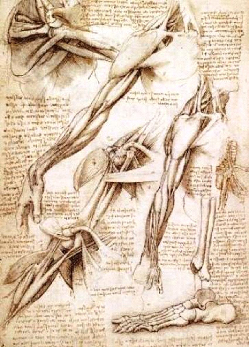 Sự uyên bác tạo nên sức sống nghệ thuật của Leonardo da Vinci -3