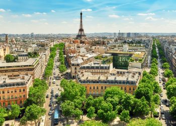 Tản mạn về cây xanh đô thị -01