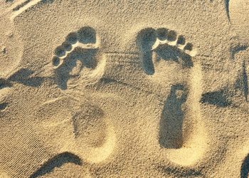 Trong tương lai, công nghệ sẽ nuôi 11 tỷ người trên trái đất? - 1