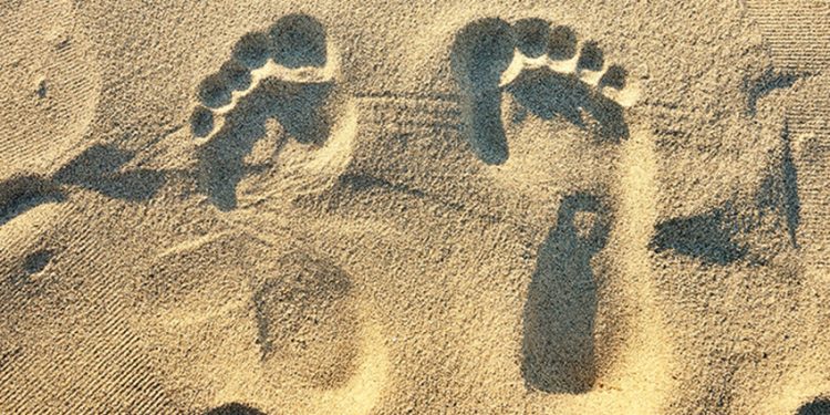 Trong tương lai, công nghệ sẽ nuôi 11 tỷ người trên trái đất? - 1