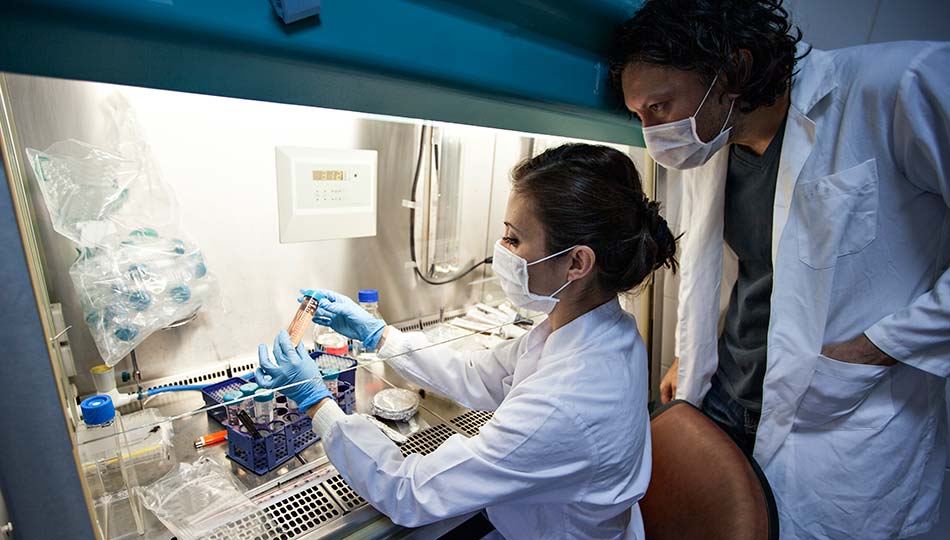 Tìm cách tốt nhất để áp dụng liệu pháp hạt nano cho điều trị ung thư - 3