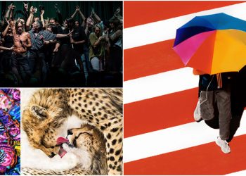 Các bức ảnh ấn tượng từ cuộc thi Sony World Photography Awards Open Competition 2020 -1