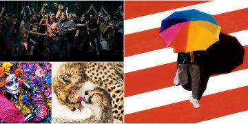 Các bức ảnh ấn tượng từ cuộc thi Sony World Photography Awards Open Competition 2020 -1