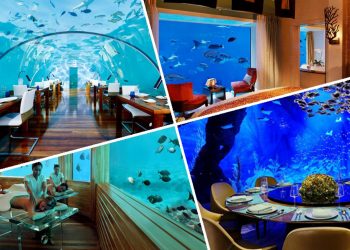 Ngồi trong phòng ngắm cảnh dưới biển -21