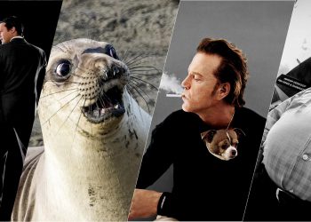 Những khoảng khắc vui hài, dí dỏm