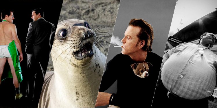 Những khoảng khắc vui hài, dí dỏm