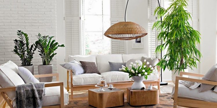 Phong thuỷ nơi thư giãn trong căn nhà -1