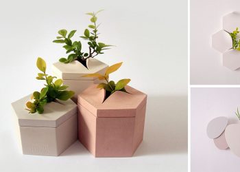 Bình hoa gắn tường – Cảm hứng từ những khoảng trống nhỏ trên vỉa hè