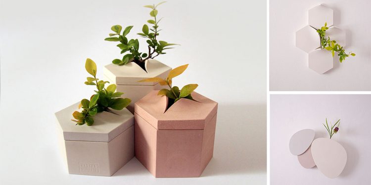 Bình hoa gắn tường – Cảm hứng từ những khoảng trống nhỏ trên vỉa hè